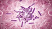 Probiotics + Inulin